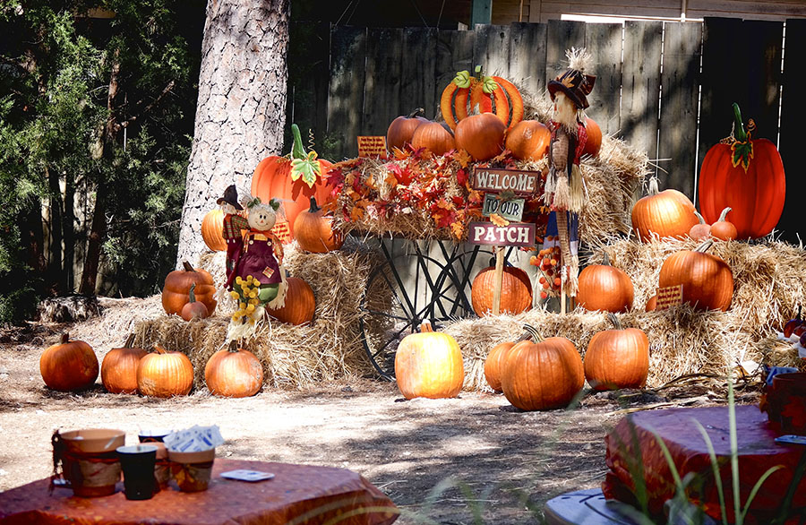 Stone Mountain Park celebrates autumn with annual Pumpkin Festival
