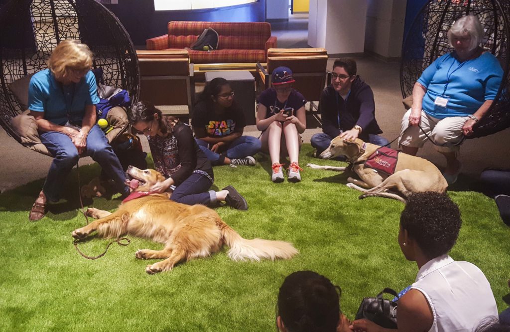 Students spend time with therapy teams from CAREing Paws in the ACA Library. CS3 organized the event for students to take a break and relax. Photo by Emma Dakin.