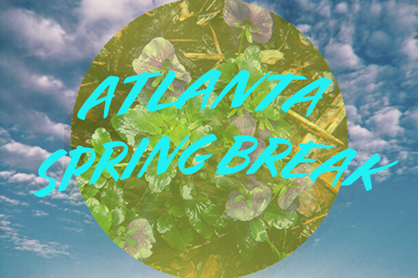 What to do in Atlanta during spring break – The Connector