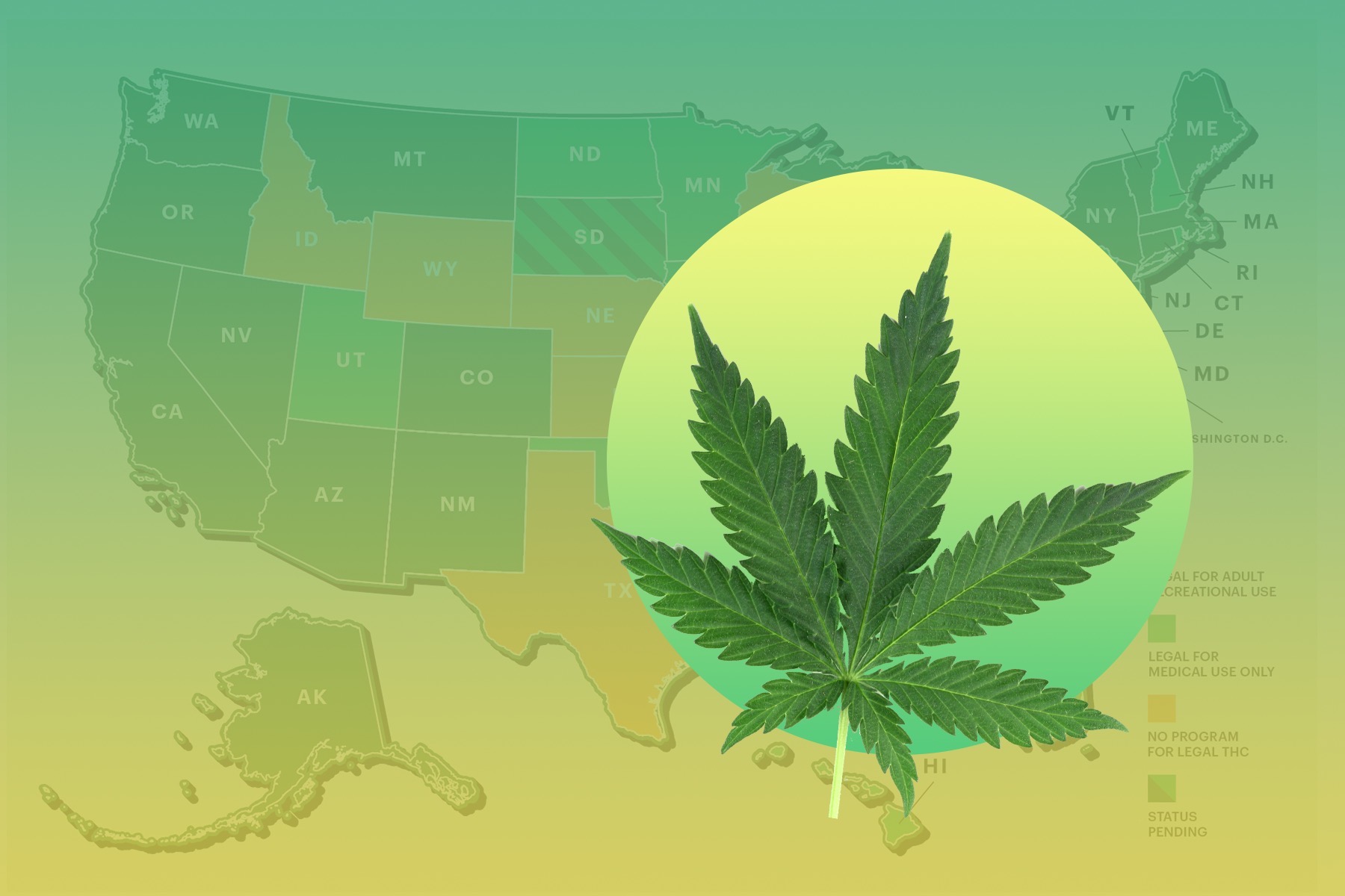 The history of 4/20, and if you’re safe to celebrate in your state ...