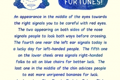 Acne Fortune Telling